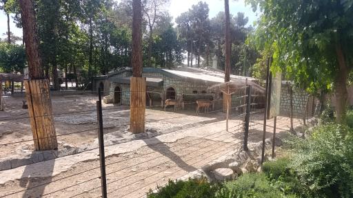 عکس باغ وحش ارم سبز