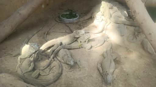 باغ وحش ارم سبز