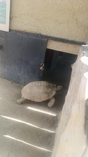 عکس باغ وحش ارم سبز