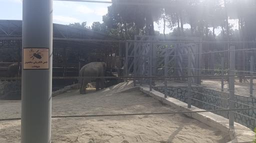 عکس باغ وحش ارم سبز