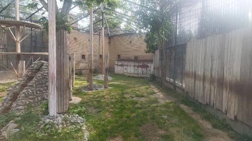 عکس باغ وحش ارم سبز