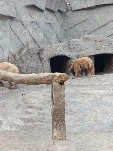 عکس باغ وحش ارم سبز