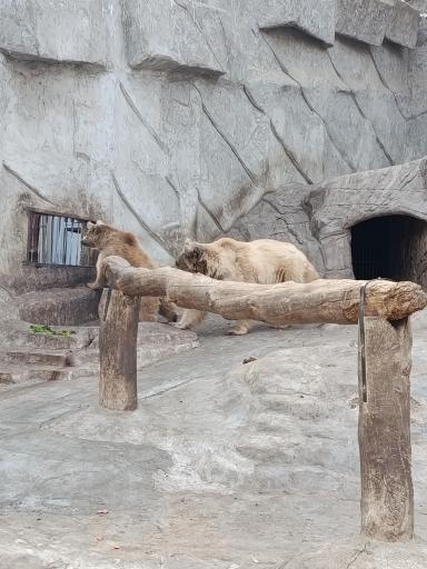 عکس باغ وحش ارم سبز