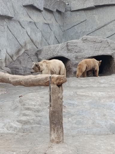 عکس باغ وحش ارم سبز