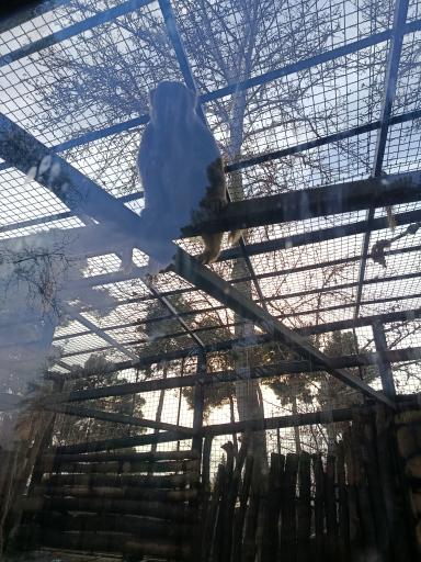 عکس باغ وحش ارم سبز