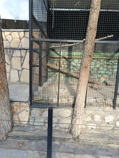 عکس باغ وحش ارم سبز