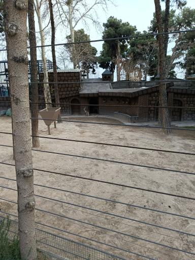 عکس باغ وحش ارم سبز