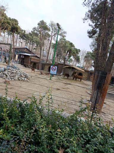 عکس باغ وحش ارم سبز