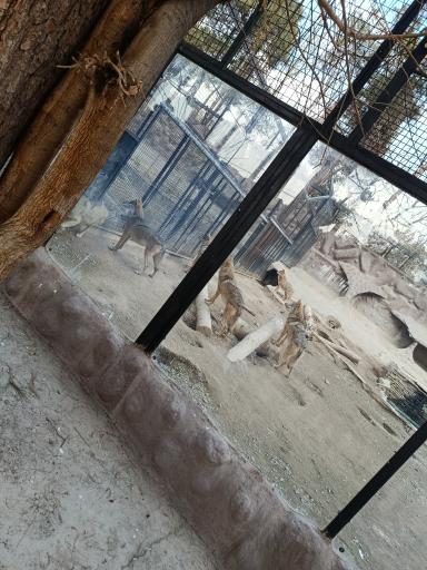 عکس باغ وحش ارم سبز