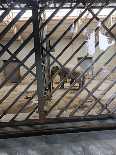 عکس باغ وحش ارم سبز