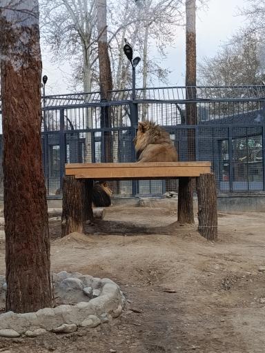 عکس باغ وحش ارم سبز