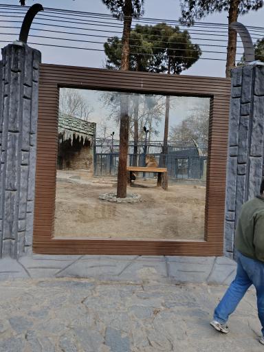 عکس باغ وحش ارم سبز