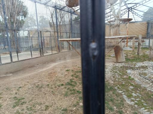 عکس باغ وحش ارم سبز