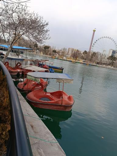 عکس باغ وحش ارم سبز