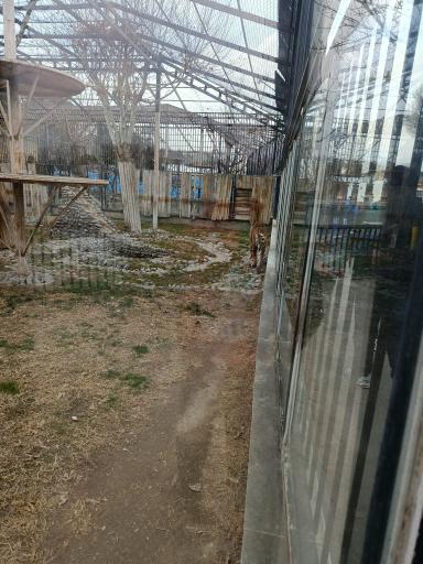 عکس باغ وحش ارم سبز