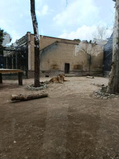 عکس باغ وحش ارم سبز