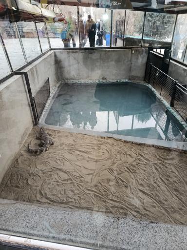 عکس باغ وحش ارم سبز