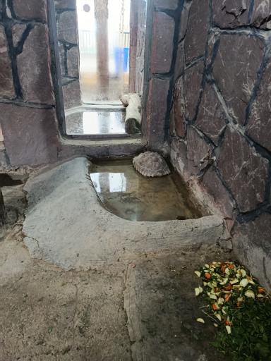 عکس باغ وحش ارم سبز