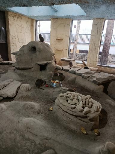 عکس باغ وحش ارم سبز