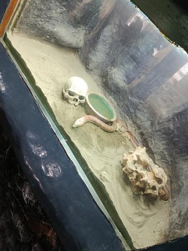 عکس باغ وحش ارم سبز