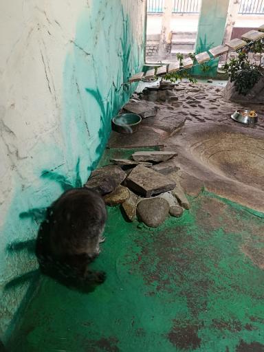 عکس باغ وحش ارم سبز