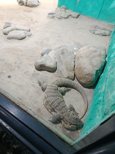 عکس باغ وحش ارم سبز