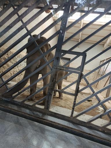 عکس باغ وحش ارم سبز