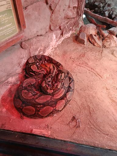 عکس باغ وحش ارم سبز