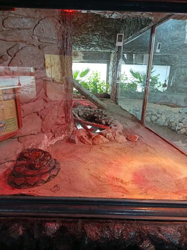 عکس باغ وحش ارم سبز