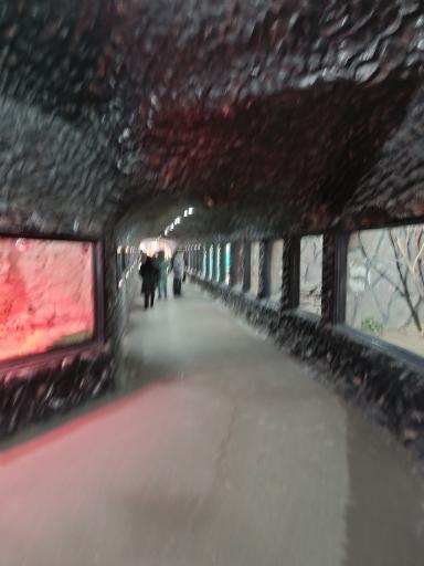 عکس باغ وحش ارم سبز