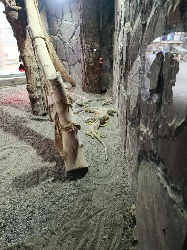 عکس باغ وحش ارم سبز