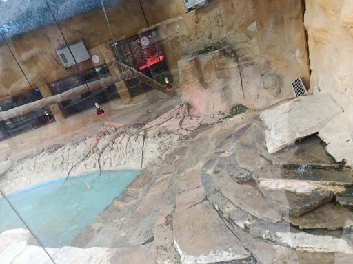 عکس باغ وحش ارم سبز