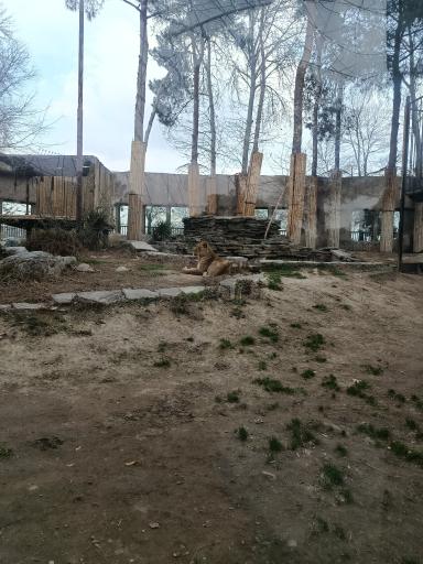 عکس باغ وحش ارم سبز