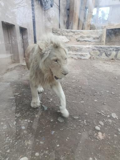 عکس باغ وحش ارم سبز