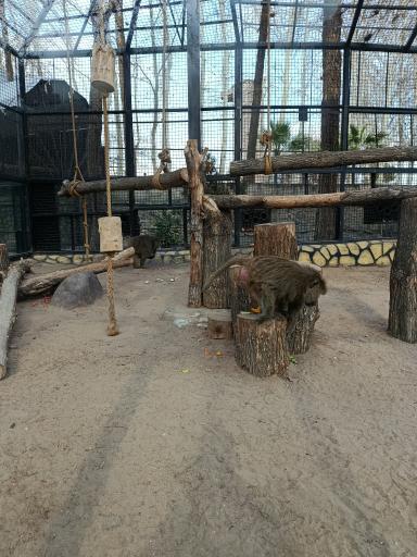 عکس باغ وحش ارم سبز