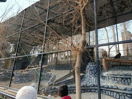 عکس باغ وحش ارم سبز