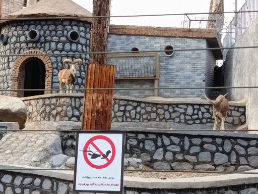 عکس باغ وحش ارم سبز