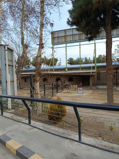 عکس باغ وحش ارم سبز