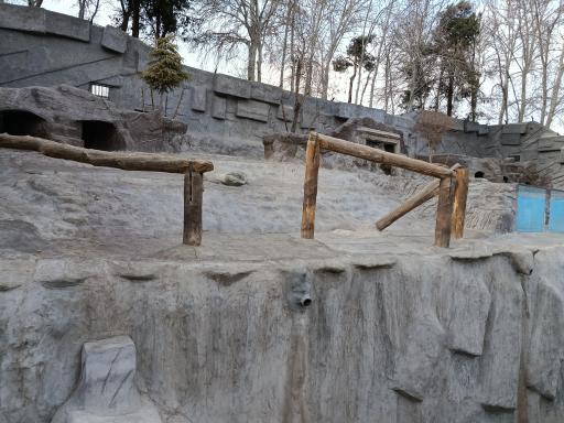 عکس باغ وحش ارم سبز