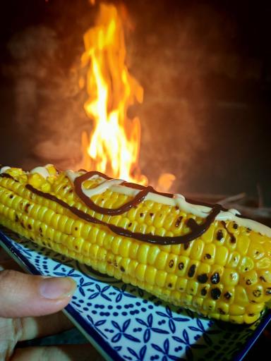 عکس کافه رستوران باغچه بیدمجنون