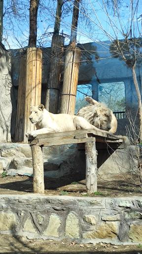 عکس باغ وحش ارم سبز