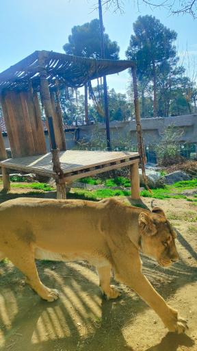 عکس باغ وحش ارم سبز