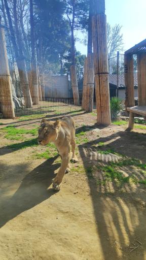 عکس باغ وحش ارم سبز