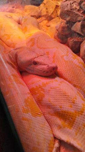 عکس باغ وحش ارم سبز