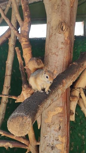 عکس باغ وحش ارم سبز