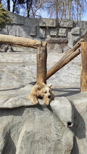 عکس باغ وحش ارم سبز