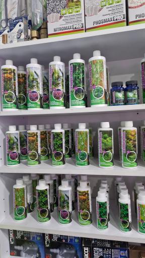 عکس آکواریوم آکوامارکت