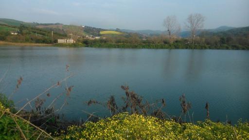 عکس آب بندان زرین آباد سفلی