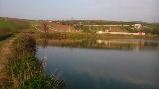 عکس آب بندان زرین آباد سفلی