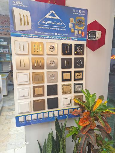 عکس الکتریکی گل‌محمدی 